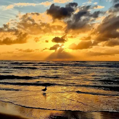 Apartamento Little Magic Zandvoort