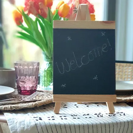 Little Magic 잔드보르트