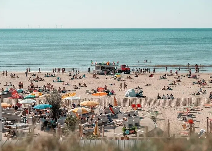 Little Magic Zandvoort