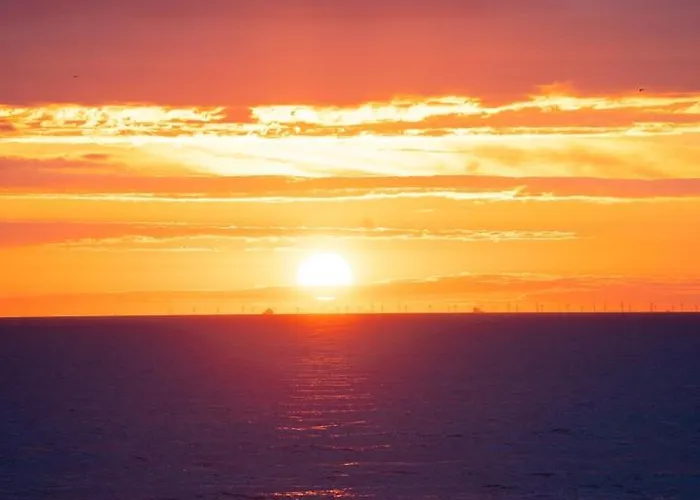 Little Magic 아파트 잔드보르트