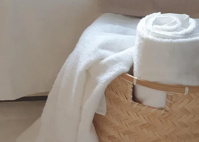 Appartement Little Magic Zandvoort