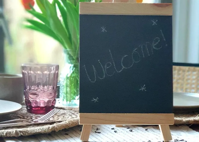 Little Magic 잔드보르트