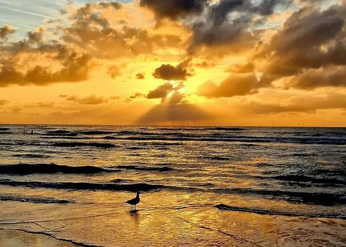 Appartement Little Magic Zandvoort