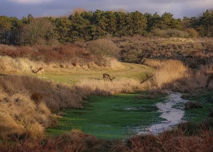 Little Magic Апартаменты *